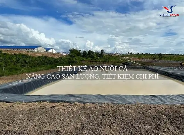 Hướng Dẫn Chi Tiết Cách Đào Ao Nuôi Cá Chuẩn Kỹ Thuật Cho Người Mới Bắt Đầu