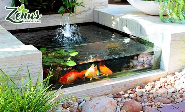 Hướng Dẫn Chi Tiết Cách Xây Bể Cá Ngoài Trời Đẹp, Bền & Tiết Kiệm Chi Phí
