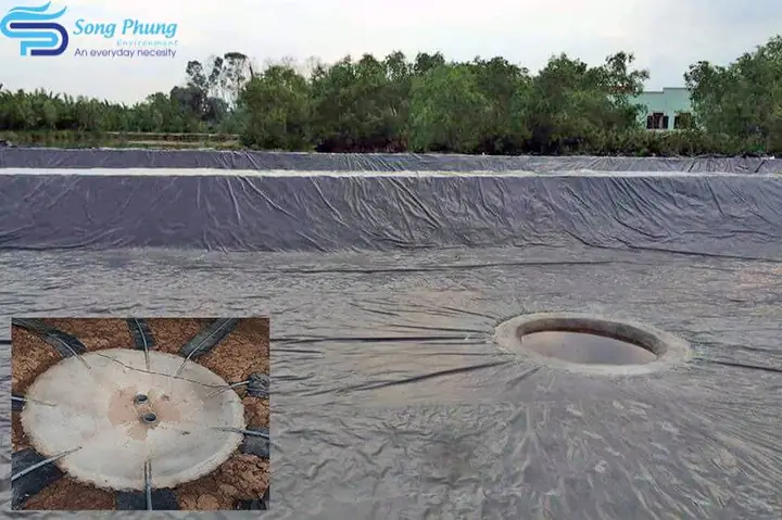 Xử Lý Bùn Đáy Ao Nuôi Cá: Nguyên Nhân, Phương Pháp Hiệu Quả & Giải Pháp Tối Ưu