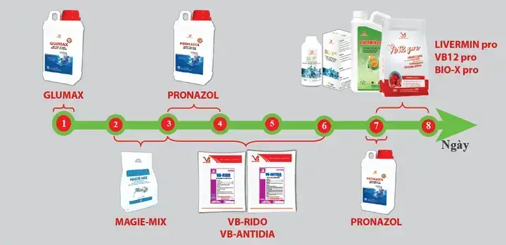 Xử Lý Cá Giống Đúng Cách Trước Khi Thả Để Đảm Bảo Sức Khỏe Và Tỷ Lệ Sống Sót